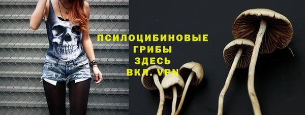 СК Верхний Тагил