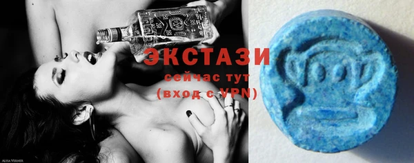 индика Бугульма