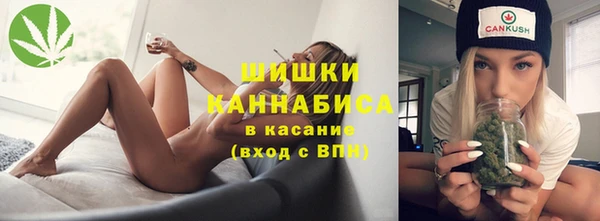 гашик Бронницы
