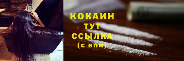 кокс Бородино