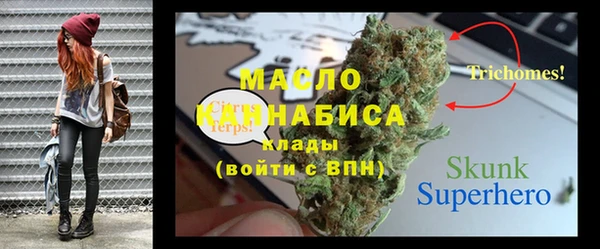 индика Бугульма